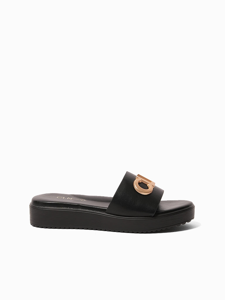 Amaris Flatform Slides