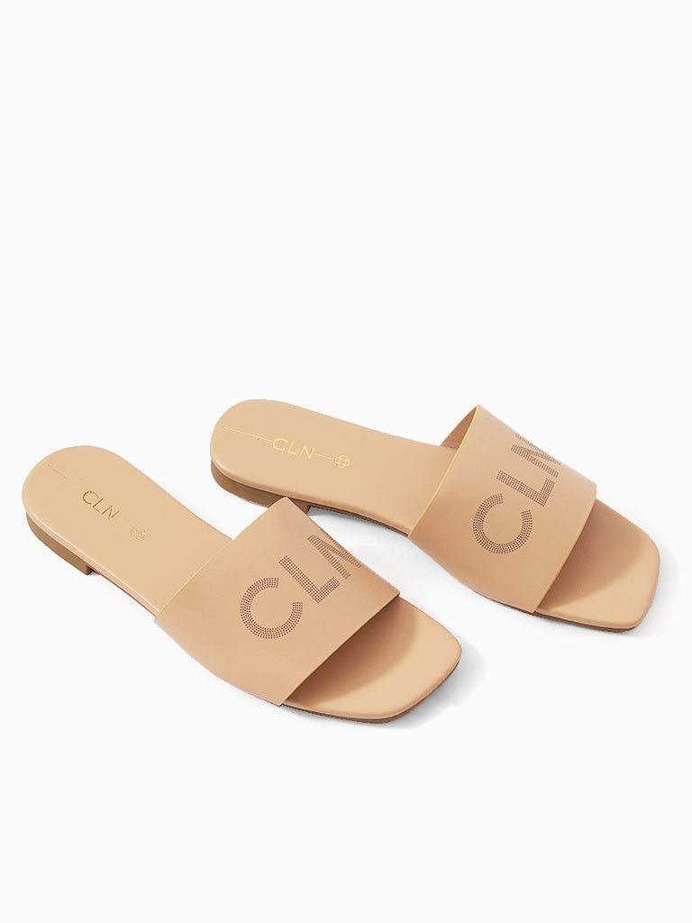 Shine Slides