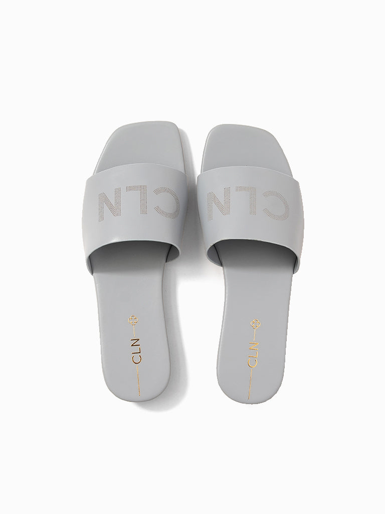 Shine Slides